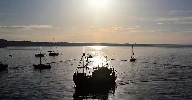 സമുദ്ര മേഖലയിലെ അപകടങ്ങൾ; അന്വേഷണത്തിനായി പുതിയ യൂണിറ്റ് maraine investigation sea