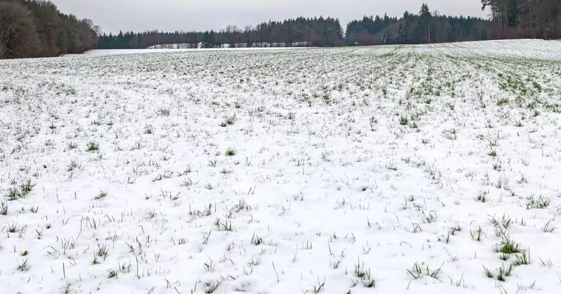 അയർലൻഡിൽ ന്യൂനമർദ്ദം; വീണ്ടും സ്നോ snow