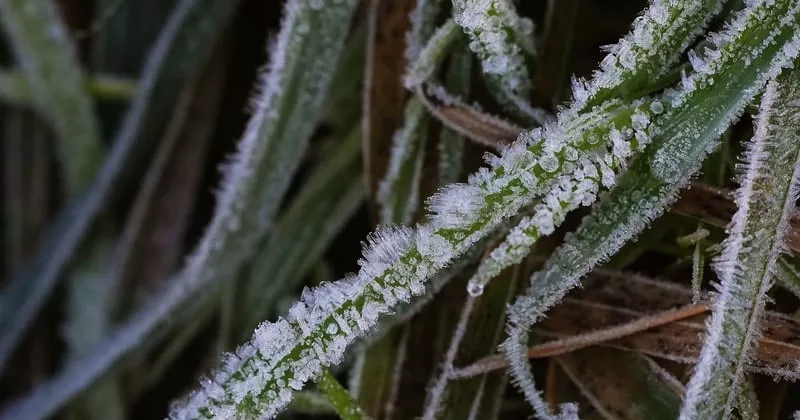 അയവില്ലാതെ തണുപ്പ്; കൗണ്ടികളിലെ മുന്നറിയിപ്പ് നീട്ടി snow falls