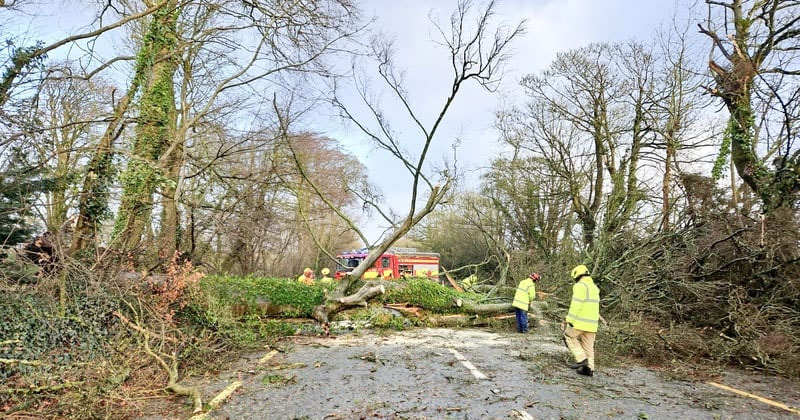 അടിയന്തിര സാഹചര്യത്തിൽ എന്ത് ചെയ്യണം; ബുക്ക്ലെറ്റ് വിതരണം ഉടൻ