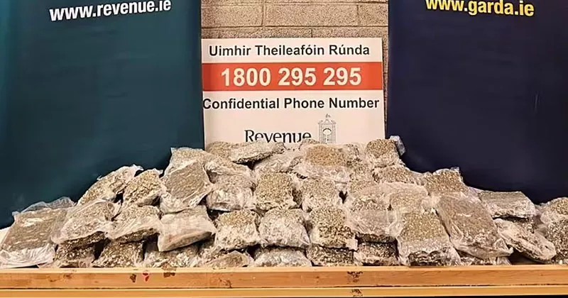 ഡബ്ലിനിൽ കഞ്ചാവ് വേട്ട; യുവാവ് അറസ്റ്റിൽ dublin