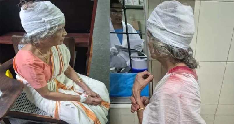 ലഹരി ഉപയോഗം ചോദ്യം ചെയ്തതിലുള്ള വിരോധം : വീട് കയറി അക്രമിച്ചു , വയോധികയ്ക്ക് പരിക്ക്