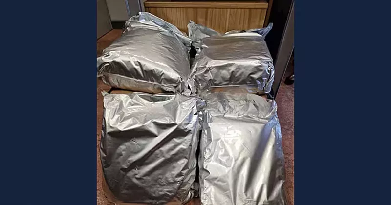 കിൽഡെയറിൽ വൻ കഞ്ചാവ് വേട്ട; 40 കാരൻ അറസ്റ്റിൽ cannabis