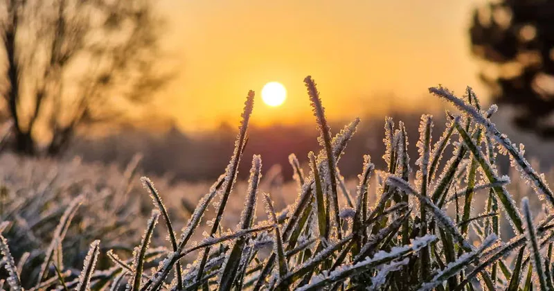 അയർലൻഡിൽ മഞ്ഞ് വീഴ്ച; വാഹനയാത്രികർക്ക് നിർദ്ദേശം cold snow