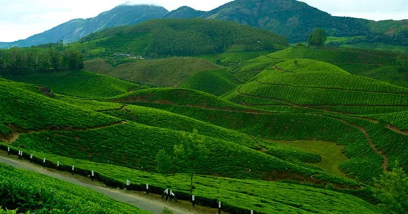 രാഷ്ട്രീയ പോരിന്റെ ദേവികുളം; നടക്കാനിരിക്കുന്നത് പൊടിപാറും പോരാട്ടം devikulam