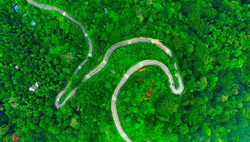 ഉടുമ്പൻ ചോലയ്ക്ക് പ്രിയം ആരെ ?