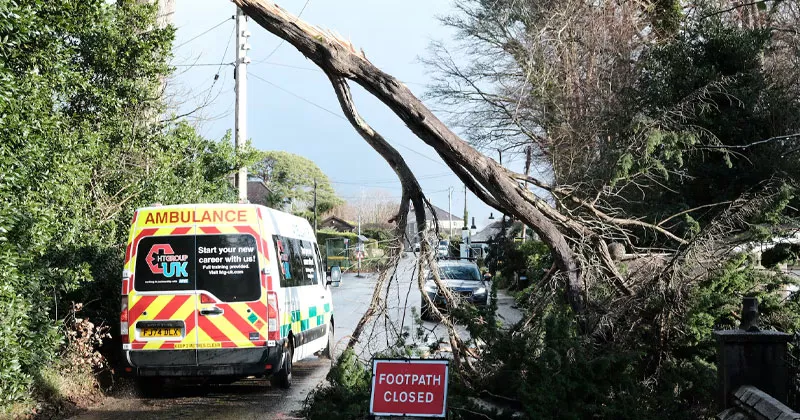 ഡേവ് ചുഴലിക്കാറ്റ്: വടക്കൻ അയർലൻഡിൽ ഇരുട്ടിലായത് രണ്ടായിരം വീടുകൾ northern ireland