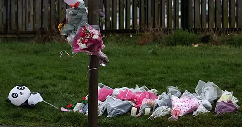 തങ്ങളുടെ അനുഭവം മറ്റാർക്കും വരരുത്; ഐആർവിഎയ്ക്കായി ധനസമാഹരണം ആരംഭിച്ച് ഗ്രേസിന്റെ രക്ഷിതാക്കൾ