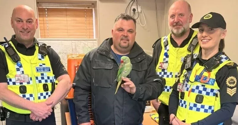 ലോല വീട്ടിലേക്ക്; തത്തയെ ഉടമയ്ക്ക് കൈമാറി വിമാനത്താവളം ജീവനക്കാർ lola