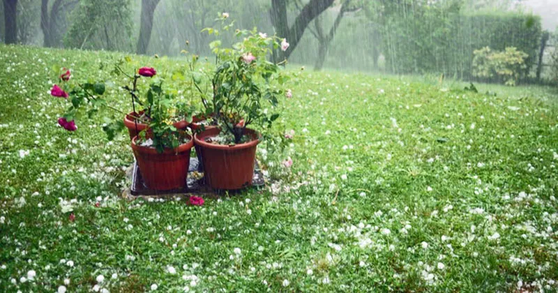 മഴയും വെയിലും; അയർലൻഡിൽ അസ്ഥിരകാലാവസ്ഥ rain weather