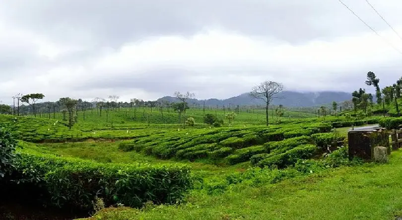 ശബരിമല ശാസ്താവിന്റെ മണ്ണ് , ഇത്തവണ വിധിയെഴുതുന്നത് ആർക്ക് വേണ്ടി ?