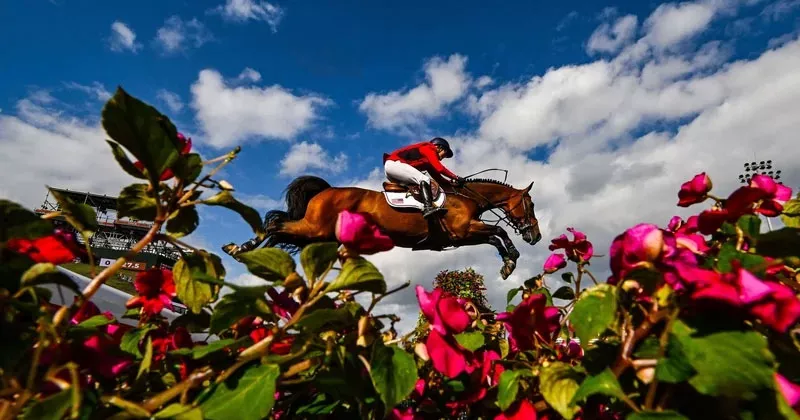 ഹോഴ്സ് ഷോ ഇന്ന് മുതൽ horse show