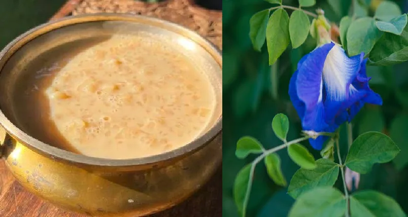 ഈ ഓണത്തിന് നീലപാലട പായസമായാലോ ?