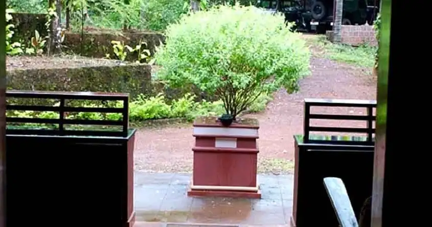 വീട്ടിൽ തുളസിത്തറ പ്രധാന വാതിലിനു നേരെ വരാമോ? ഏത് തുളസിയാണ് നടാൻ ഉത്തമം ? അറിയാം ഇക്കാര്യങ്ങൾ